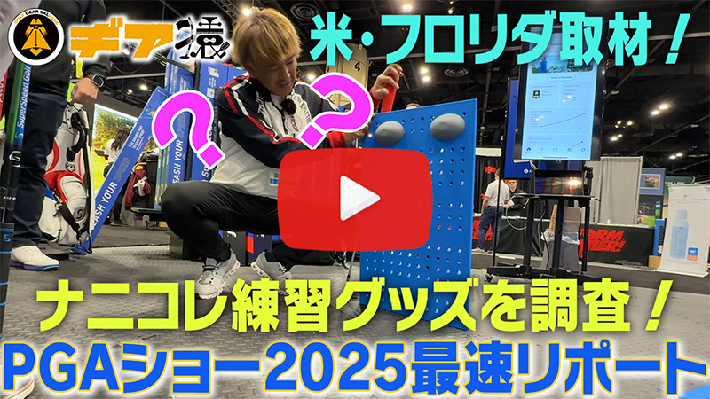 速報動画